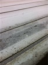 晴れてるのに吹雪。
