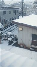 ヾ(=д= ；)ォィォィ何だよぉ…