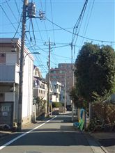 今朝も冬晴れ(&#180;･ω･｀)