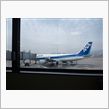 今日も飛行機
