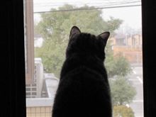 外を眺め・・・？