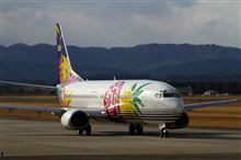 仙台空港 2月19日撮影 仙台空港 2月19日撮影