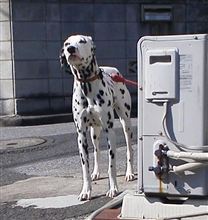 あそぼ！