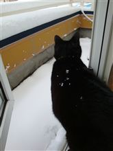 冷たくて真っ白・・・