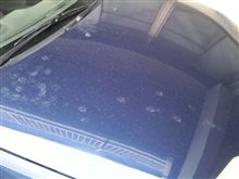 洗車モロモロ～