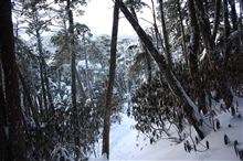 厳冬期ラストの金峰山②