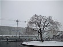 定点観測2/29(水)