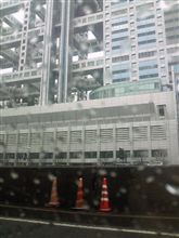 今日は東京出張ですが 今日は東京出張ですが