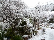 今日は雪の為! 今日は雪の為!