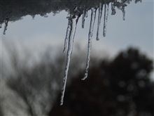 氷柱が日々成長中 