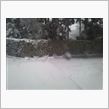 雪が積もるとよくある風景