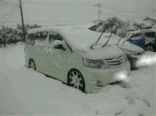 ( ･∀･ )ﾆﾔﾆﾔ