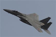 もう、トリミングはヤダ
