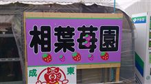 イチゴ狩りのオフ会に参加