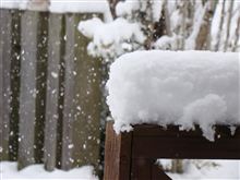 ある日の雪の日のこと