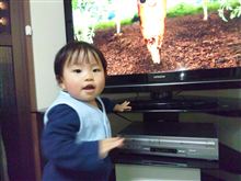 はっけん