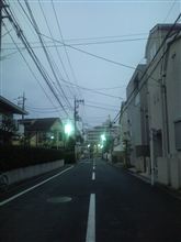 皆さん花粉症ですか～(○&#180;ω｀○)ノ!!??