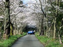 いきものがかり　『SAKURA』