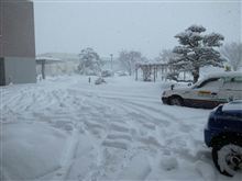 なごり雪・・・なんてもんじゃない！