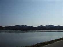 タイヤ交換の目安（1/2）