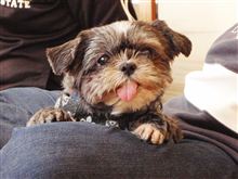お久ぶ~り~ね♪ お久ぶ~り~ね♪