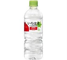 期待・・・