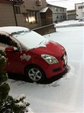 また雪、もう勘弁して〜。 また雪、もう勘弁して〜。