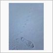Footprint of a ...