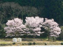 里山 