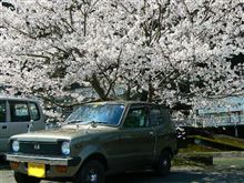 桜の木下で 桜の木下で
