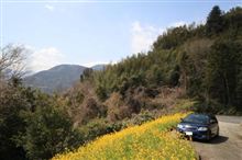 春を探しに~♪in山北