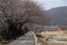 横川河川敷 横川河川敷