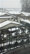 春はどこに…