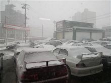 ☆　ＣＲＵＩＳＥ 札幌の午後は吹雪　☆