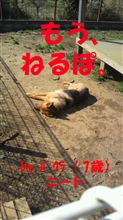 今日気がついた事。