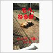 今日気がついた事。