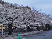 開花