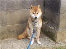 やっぱり抜かれてた(* ﾟДﾟ)