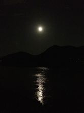 月見でいっぱい(^-^)/