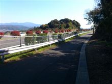 高速道路