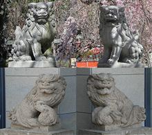 三嶋大社の狛犬