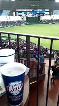 野球観戦（埼玉西武VS福岡ソフトバンク）