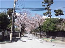 こんな季節だねい
