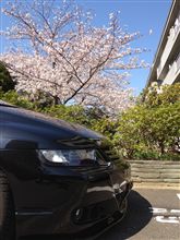 桜とオデッセイ