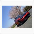 桜とカプチ＾＾