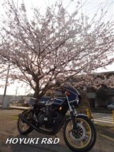 桜と角Ｚ
