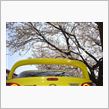 愛車と桜シリーズも４回目