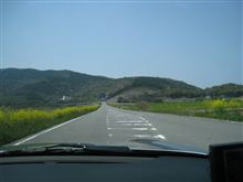 さくら舞い散る中で忘れた記憶と