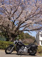 最近強風・暴風ばかり