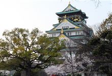 仕事&amp;用事の間に・・　春を撮ってました(大阪国編)